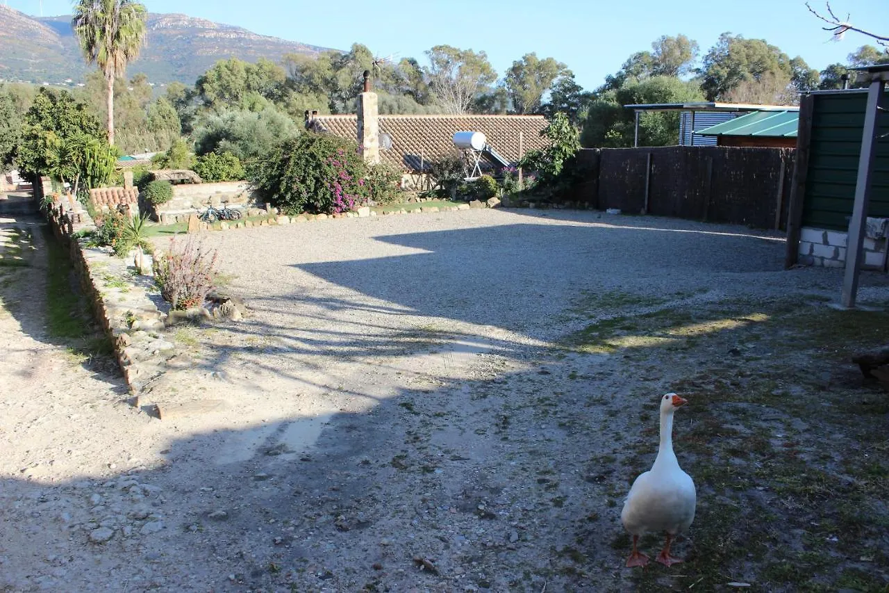 Holiday home Casa Juan - Andaluciaholidays - T5 Tarifa